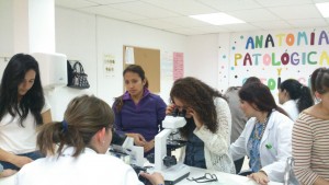 JORNADAS CITOLOGIA 3