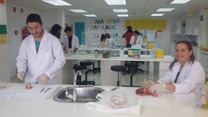 20160420_123130 (1)