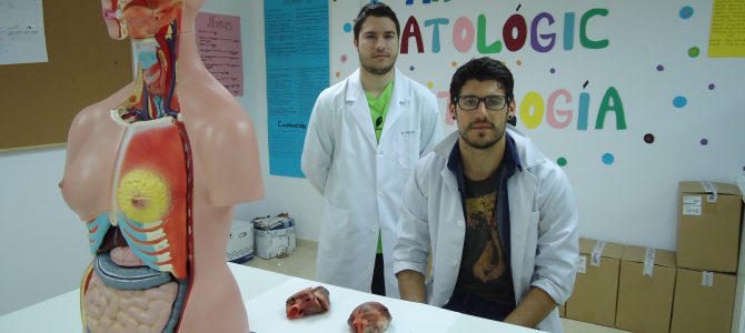 Post de Daniel y Javier: “Anatomía de tu corazón”