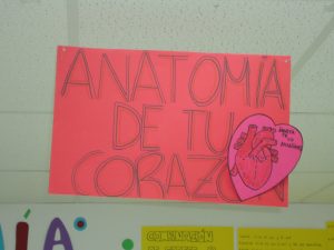 Imagen 332