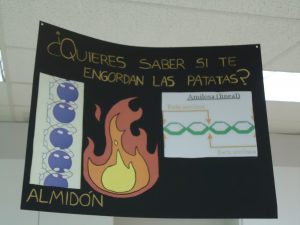 Imagen 334