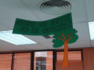 Imagen 337