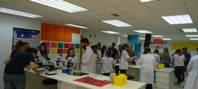 I Semana de la Ciencia en CESUR