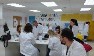 Alumnos de 1º del ciclo de anatomía patológica cultivando las placas Petri